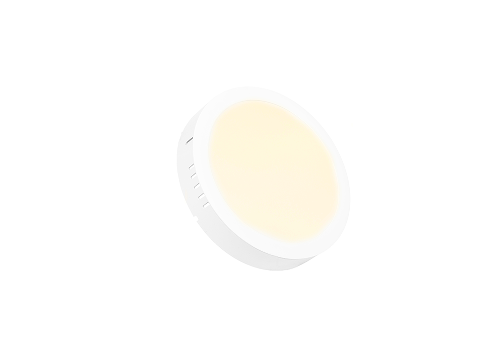 MOUNTED ROUND DOWNLIGHT 24W Warm light-yellow